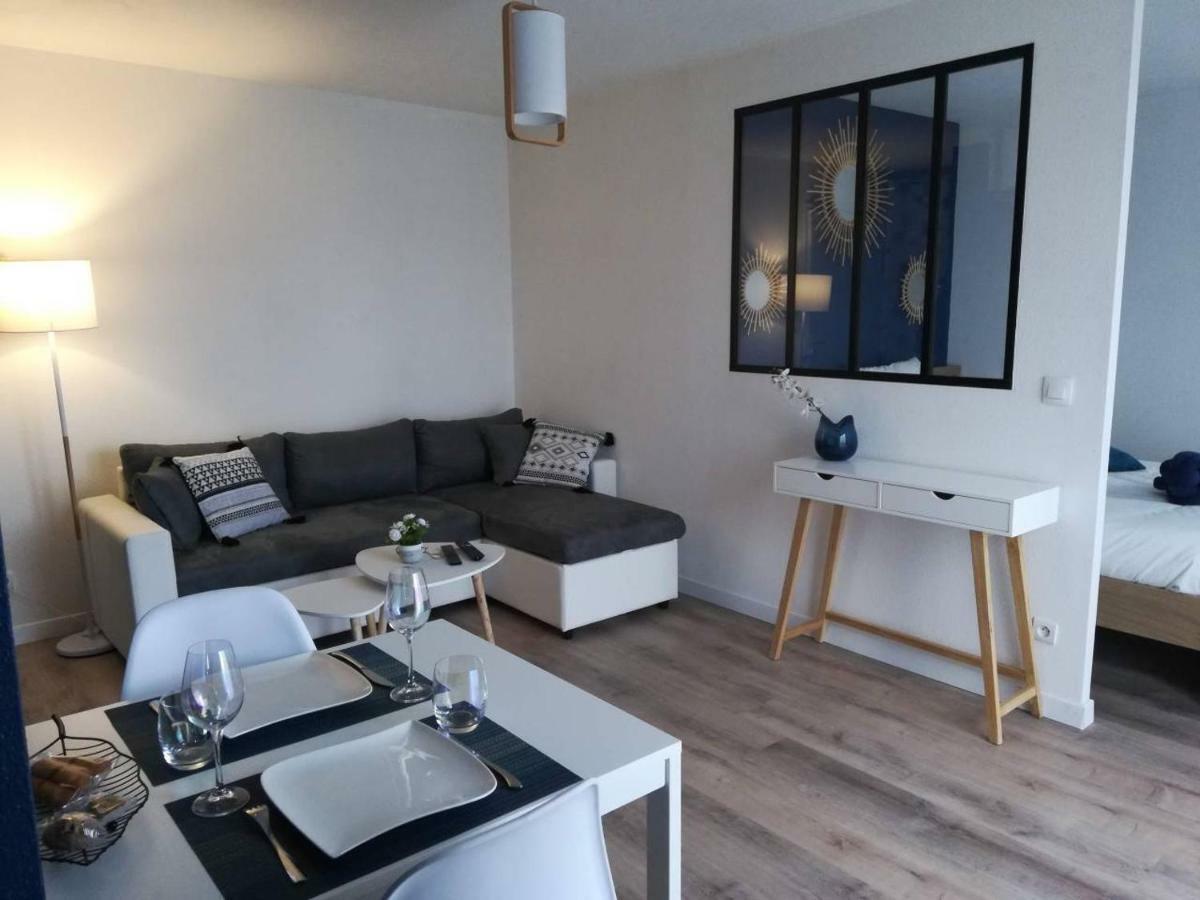 Appartement Cosy Proche Meteo France Et Airbus Toulouse Eksteriør bilde