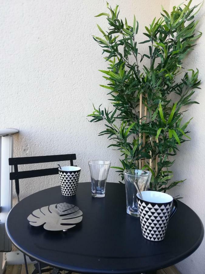 Appartement Cosy Proche Meteo France Et Airbus Toulouse Eksteriør bilde